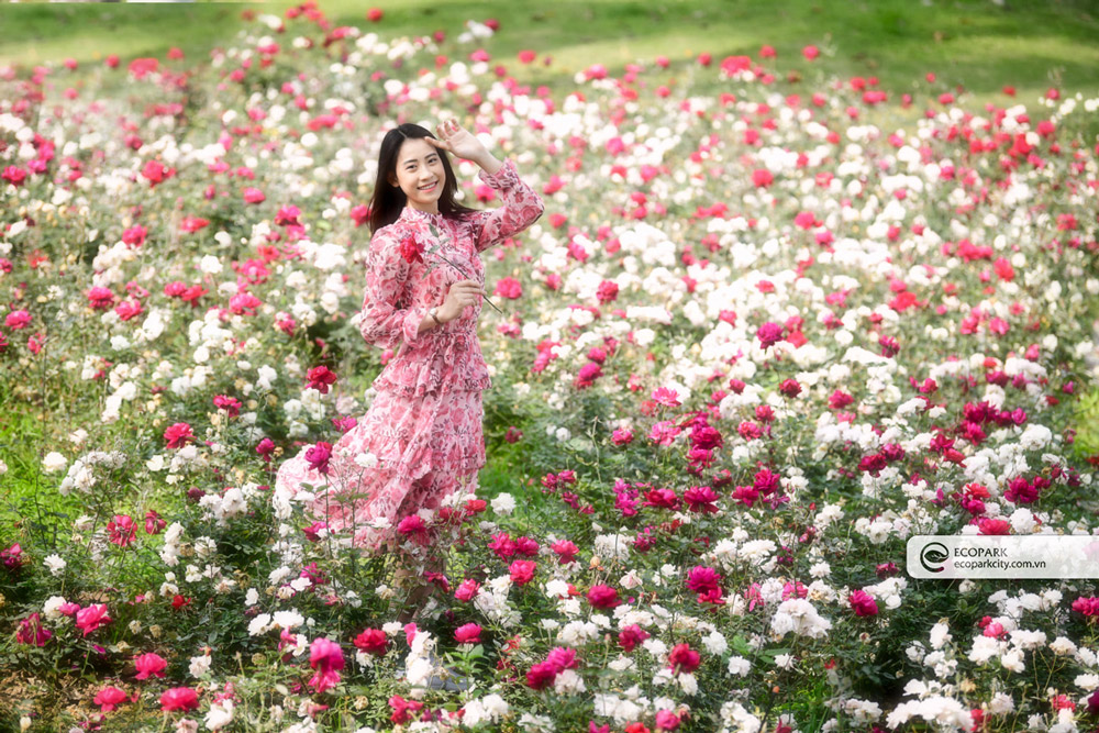 Ngán ngẩm cảnh Lương Bằng Quang mặc váy, lăn lê chụp ảnh giữa vườn tú cầu:  'Không cảm nổi'